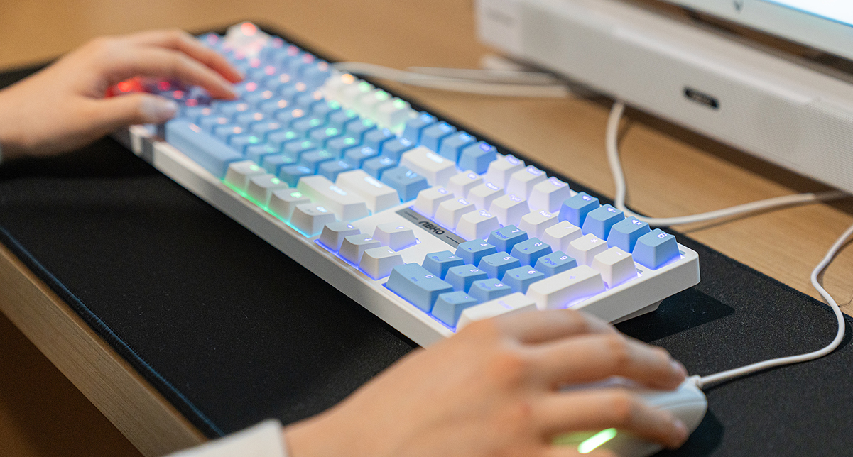 프리미엄 1PC